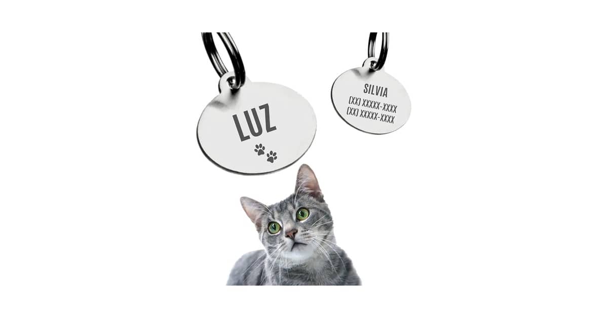 Melhores plaquinhas de identificação para pet: QR Code ou Laser?