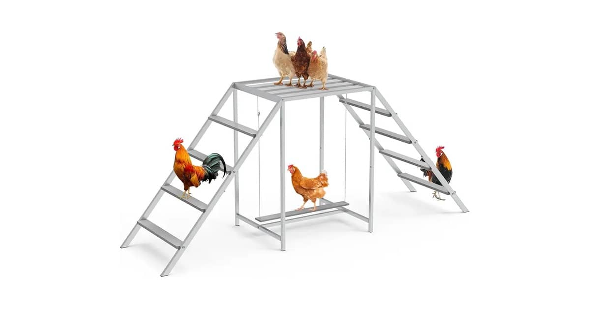 Melhores Poleiros Para Galinheiro: 10 Opções Seguras