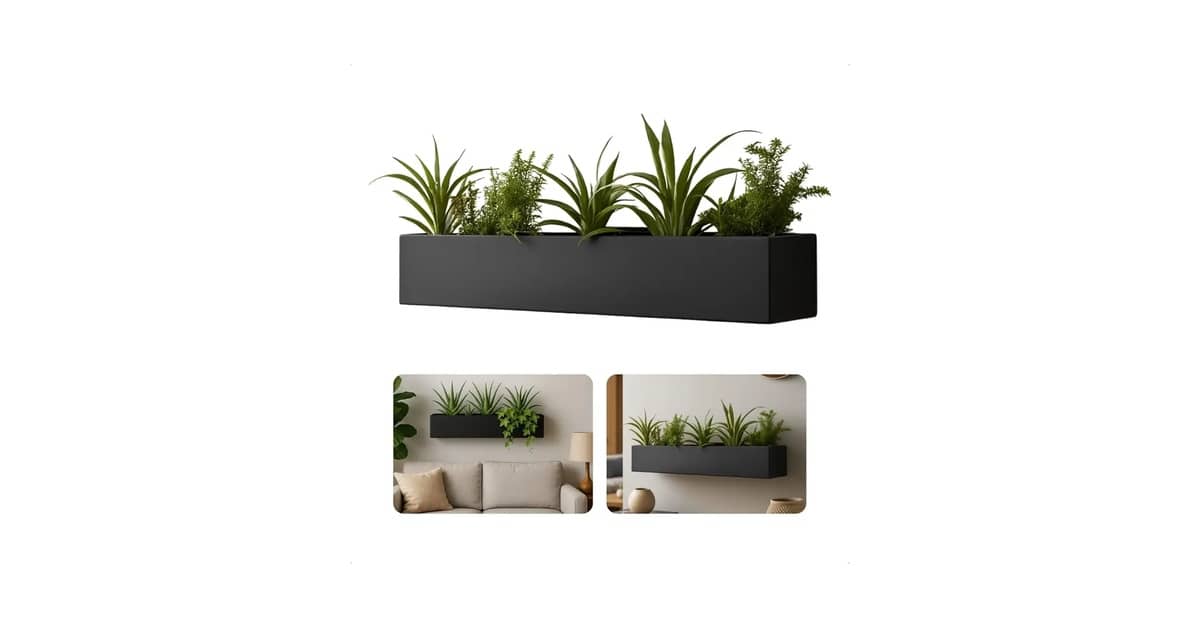 Melhores presentes para quem ama plantas: Qual Comprar?