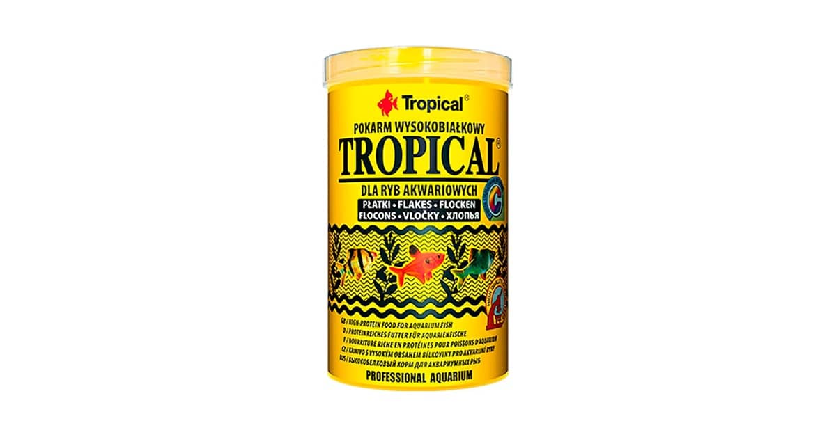 Melhores Rações em Flocos para Peixes Tropicais: Qual a Mais Nutritiva?