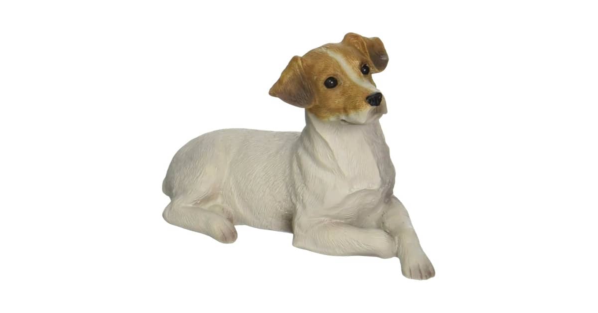 Melhores Rações para Cães da Raça Jack Russell Terrier: Guia Completo
