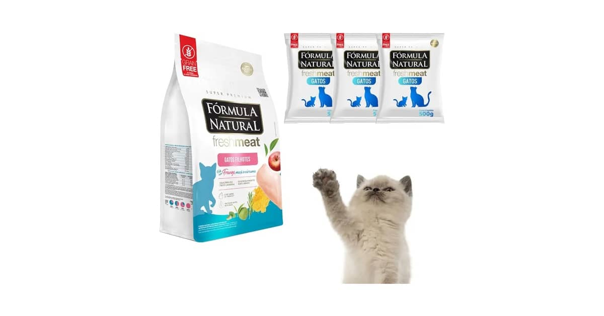 Melhores rações para filhote de gato: Guia Top 10