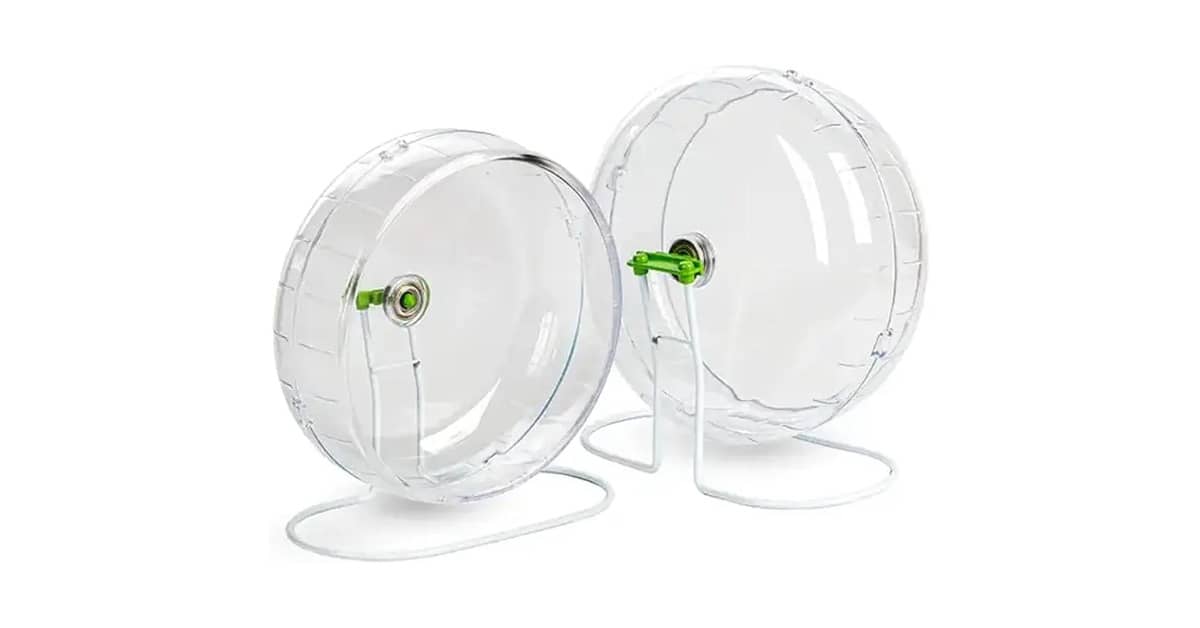 Melhores Rodinhas de Exercício para Hamster: Qual a Mais Segura?