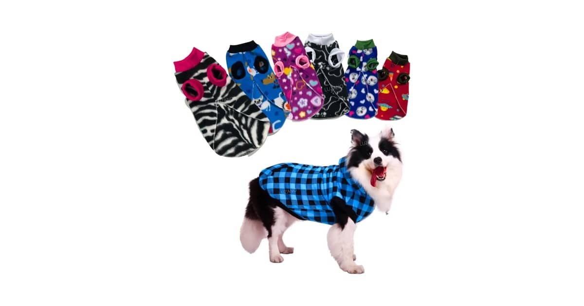 Melhores roupas de frio para cachorro: Qual o Tecido Mais Quente?