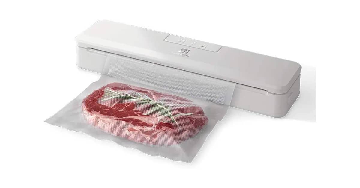 Melhores Seladoras a Vácuo: 10 Opções Potentes