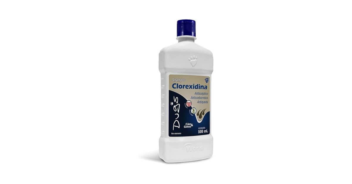Melhores Shampoos para Cães com Cheiro Forte: Qual Elimina o Odor?