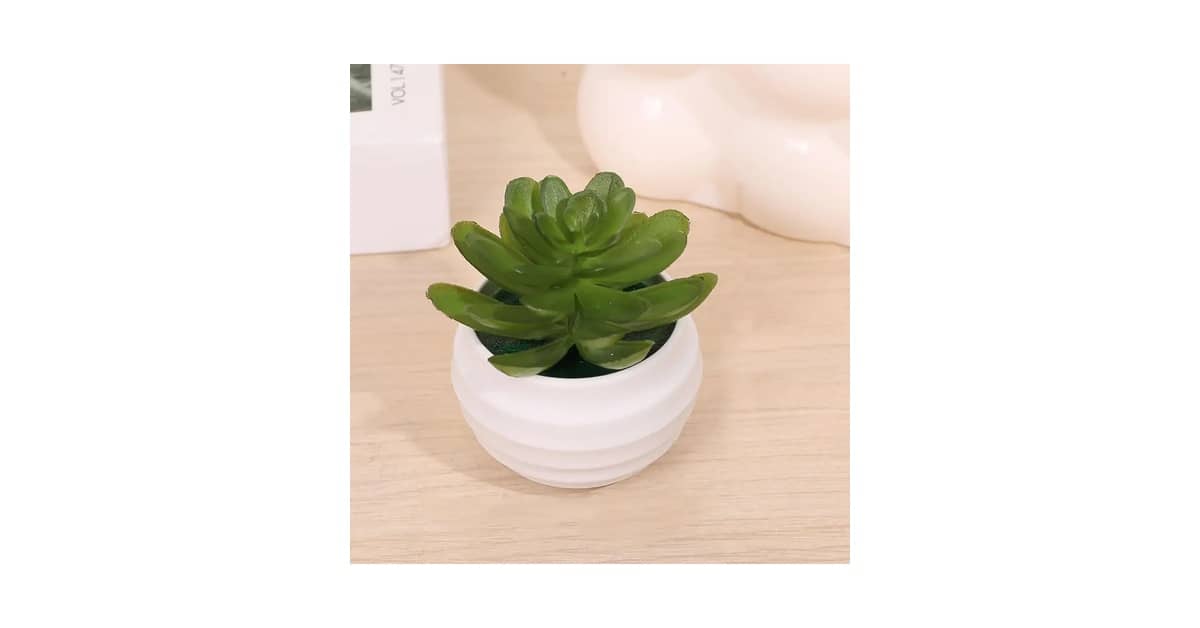 Melhores Suculentas Artificiais: 10 Kits Realistas