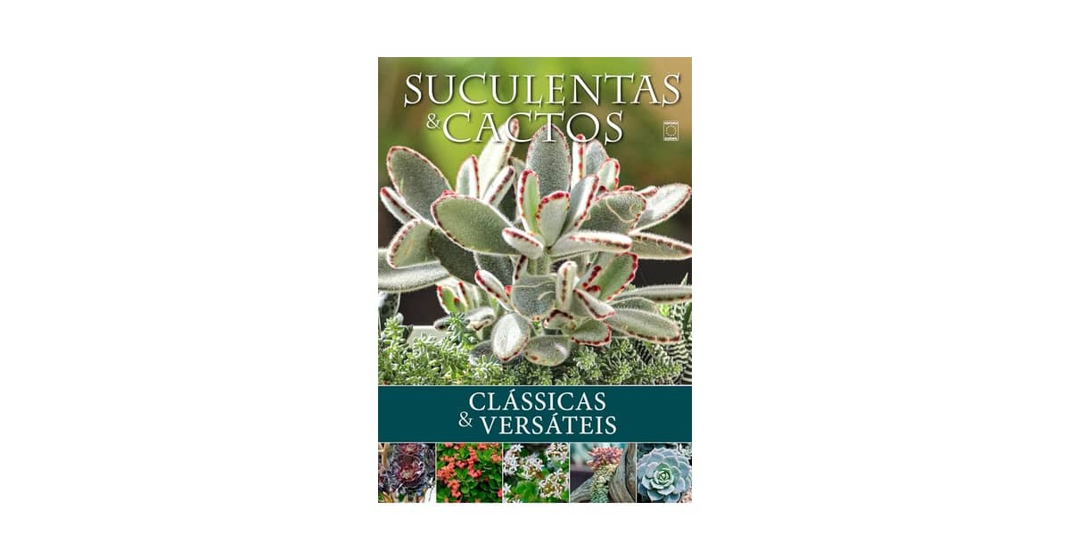 Melhores suculentas de fácil cuidado para iniciantes: Qual a Ideal?