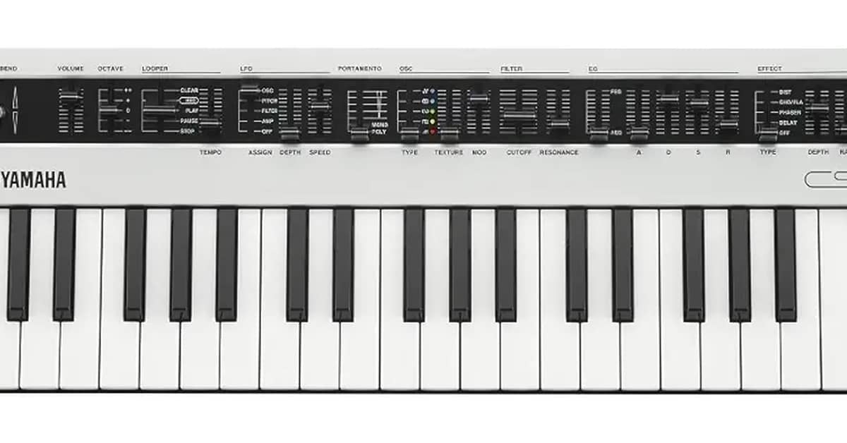 Melhores Teclados Sintetizadores Analógicos: O Guia