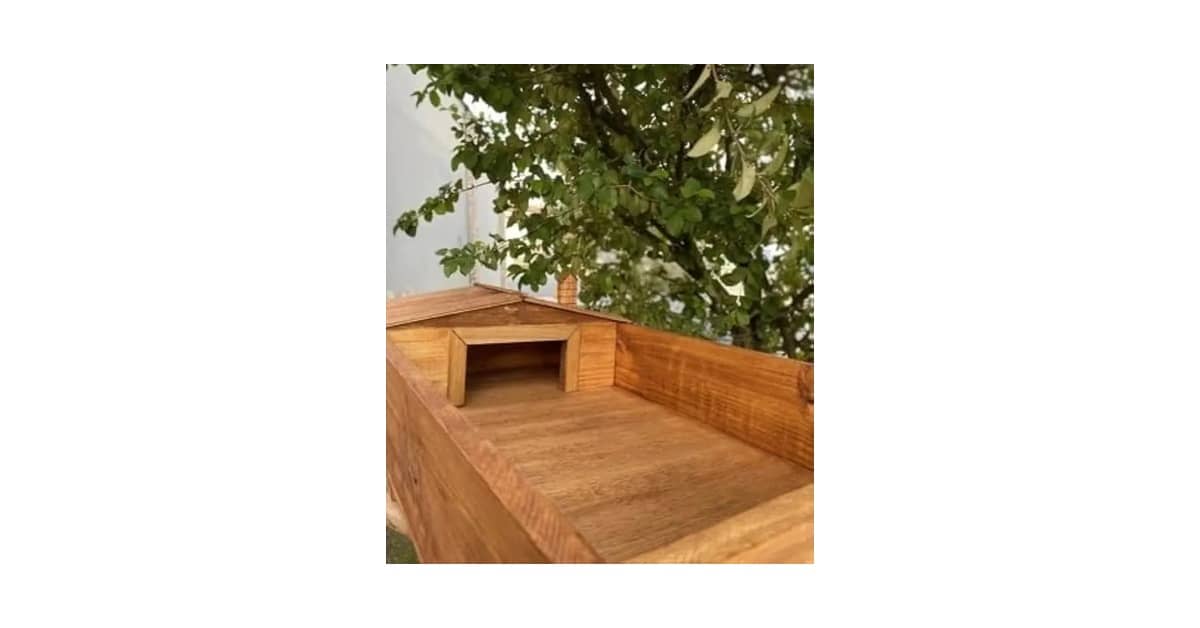 Melhores terrários para cobra: Vidro ou Acrílico?