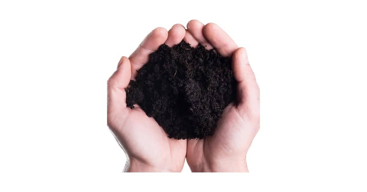 Melhores Terras para Plantio: Top 10 Férteis