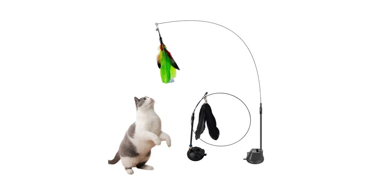 Melhores varinhas para brincar com gato: Qual Comprar?