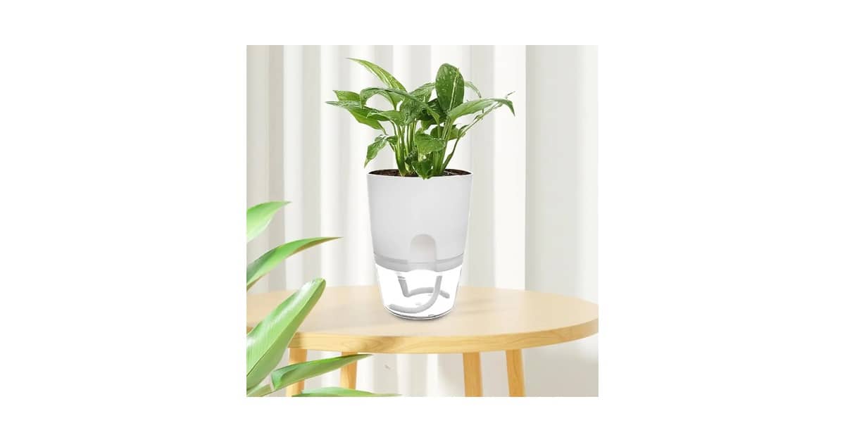 Melhores vasos de plantas autoirrigáveis para quem viaja: 10 Modelos com Maior Autonomia