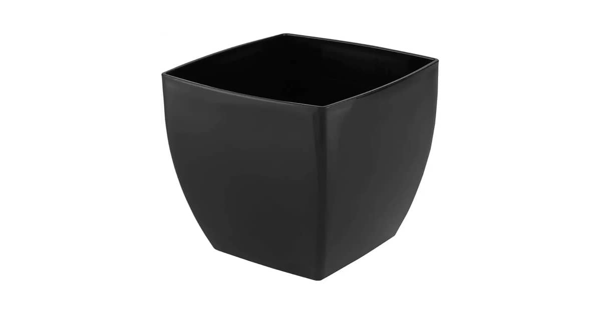 Melhores Vasos para Rosa do Deserto: 10 Modelos de Drenagem Ideal