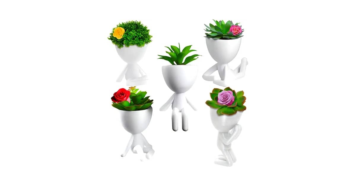 Melhores Vasos para Suculentas: 10 Kits Incríveis