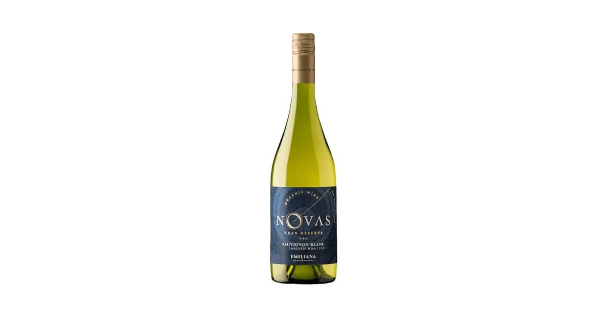 Melhores vinhos brancos sauvignon blanc da nova zelândia: O Guia