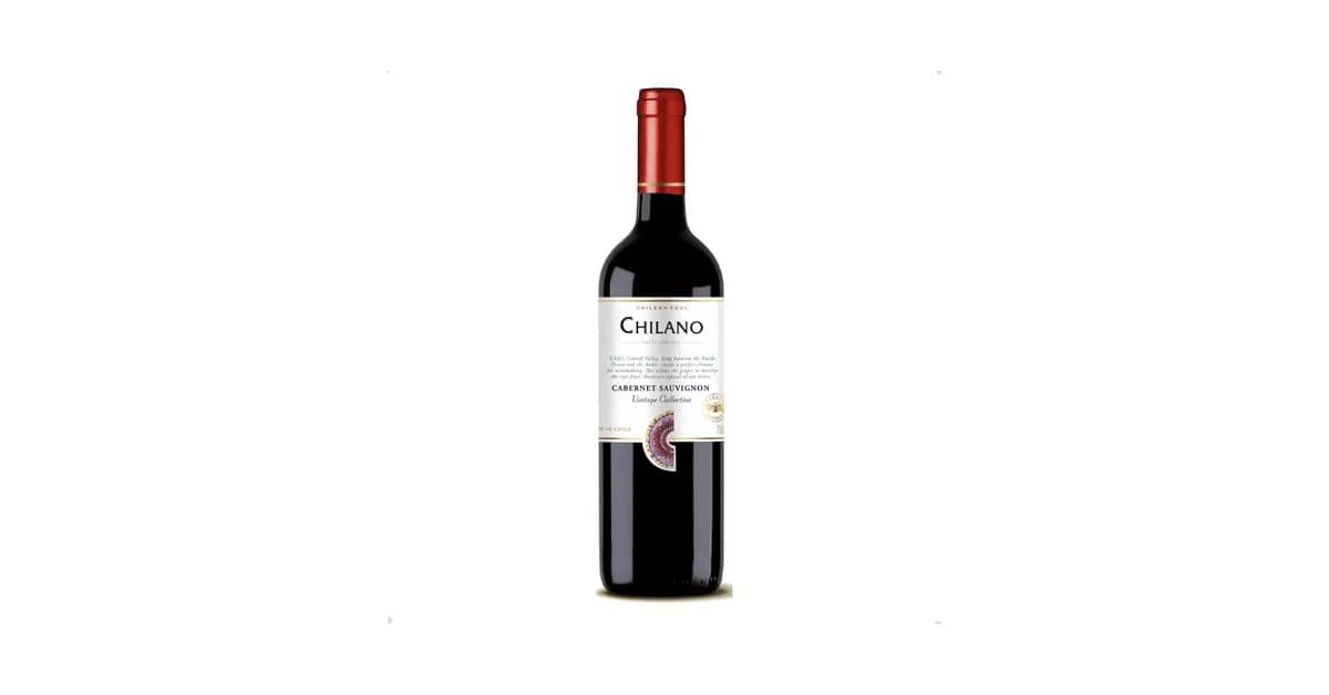 Melhores vinhos cabernet sauvignon chilenos: Qual Escolher?