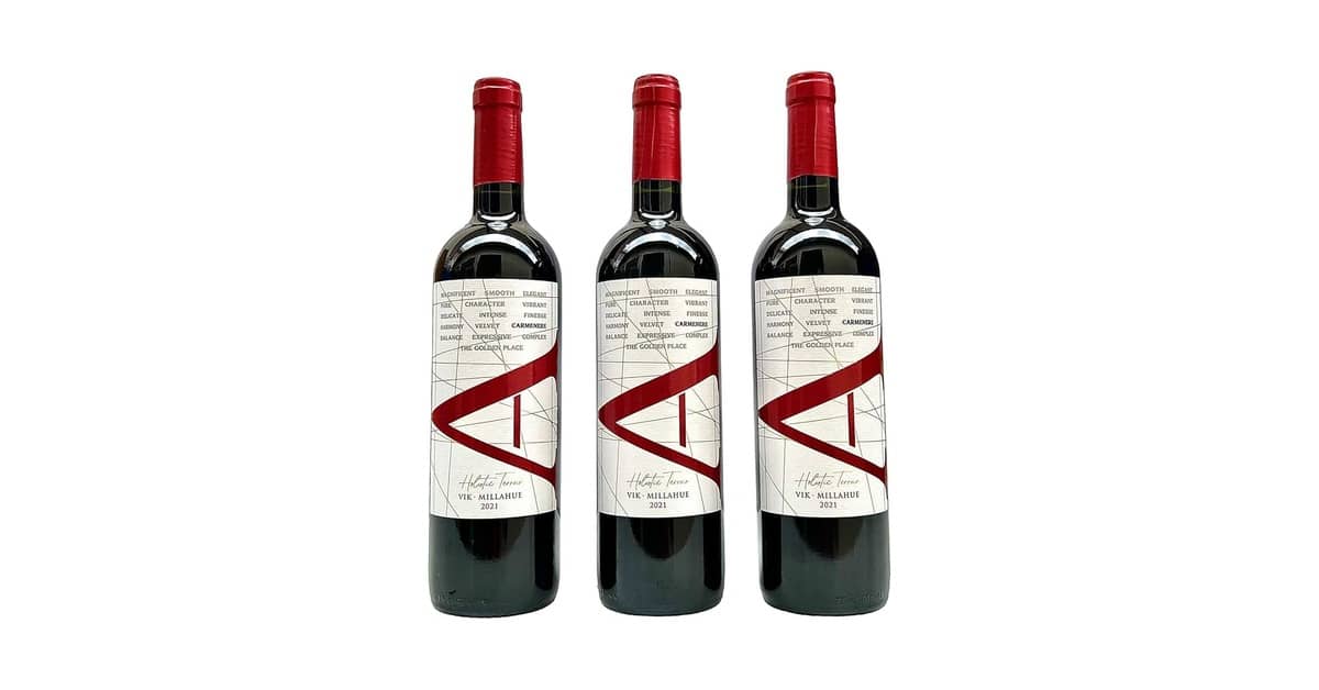 Melhores Vinhos Chilenos Carmenere com Bom Preço: Top 10 Rótulos
