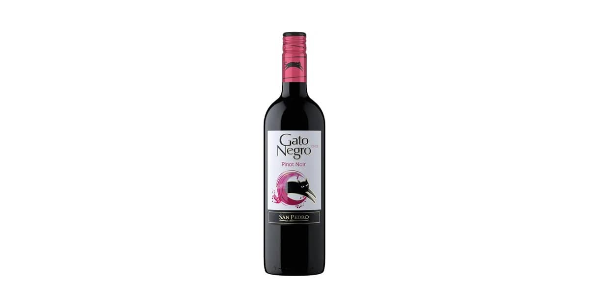 Melhores vinhos pinot noir: 10 Rótulos Elegantes