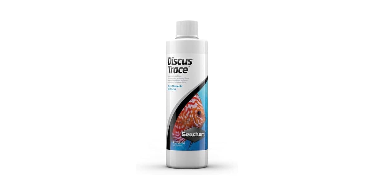 Melhores vitaminas para peixe: Saúde e Cores Vivas