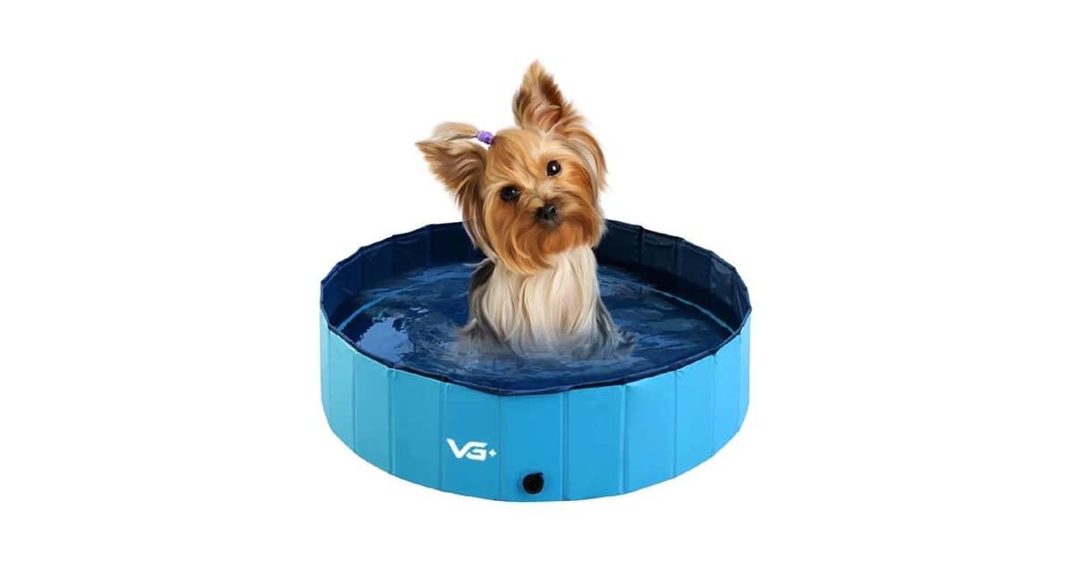 Piscinas Para Cachorro Reviews: Qual a Mais Forte?