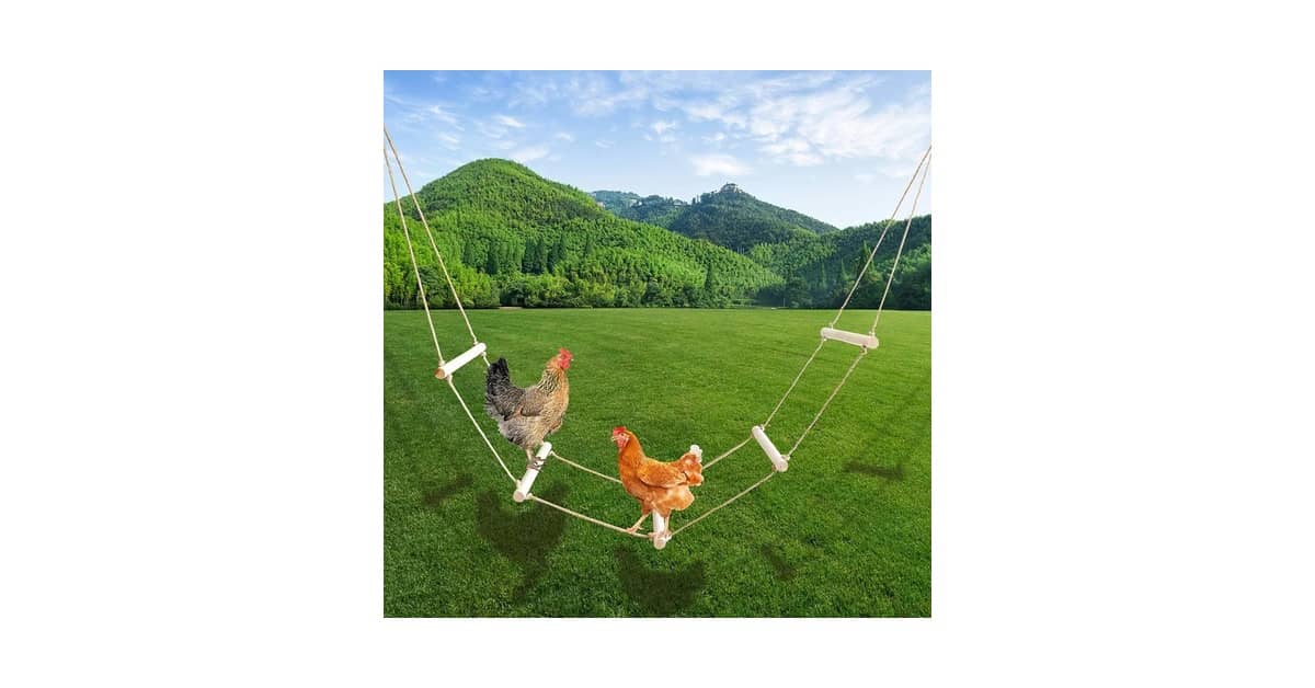 Poleiros Para Galinheiro Reviews: Qual o Melhor?