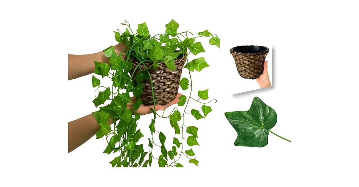 Qual a Melhor Planta para Mesa de Escritório: Guia Completo