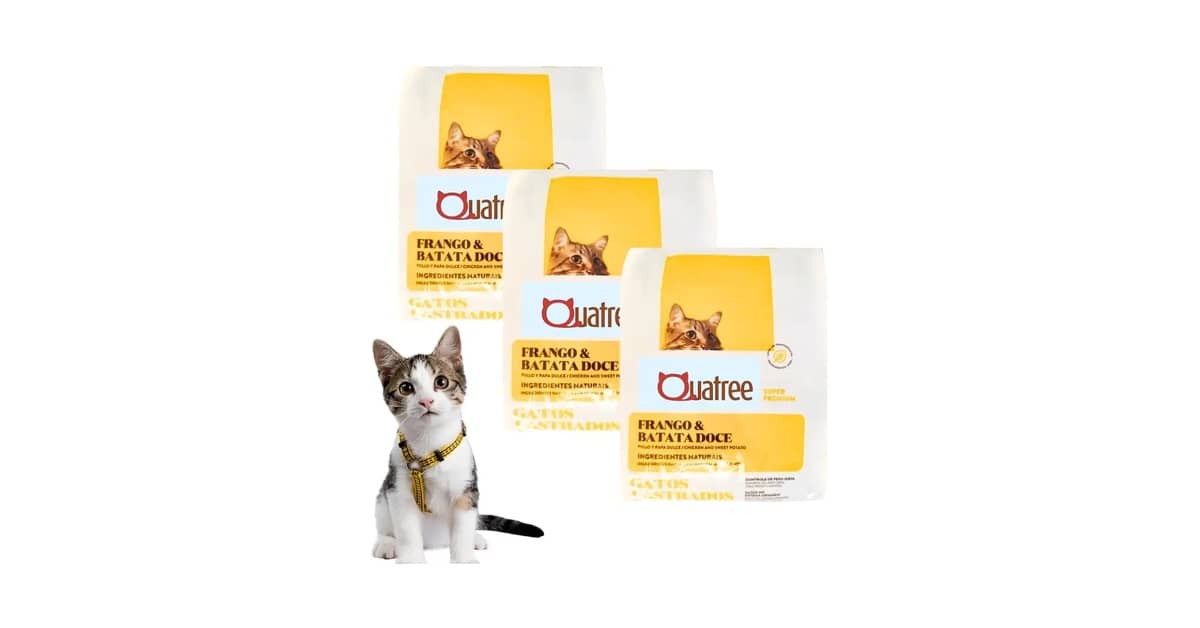 Qual a Melhor Ração para Gato Castrado com Infecção Urinária? Guia Completo