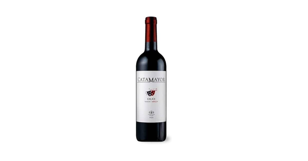 Qual Melhor Vinho Tannat ou Merlot: Guia Definitivo