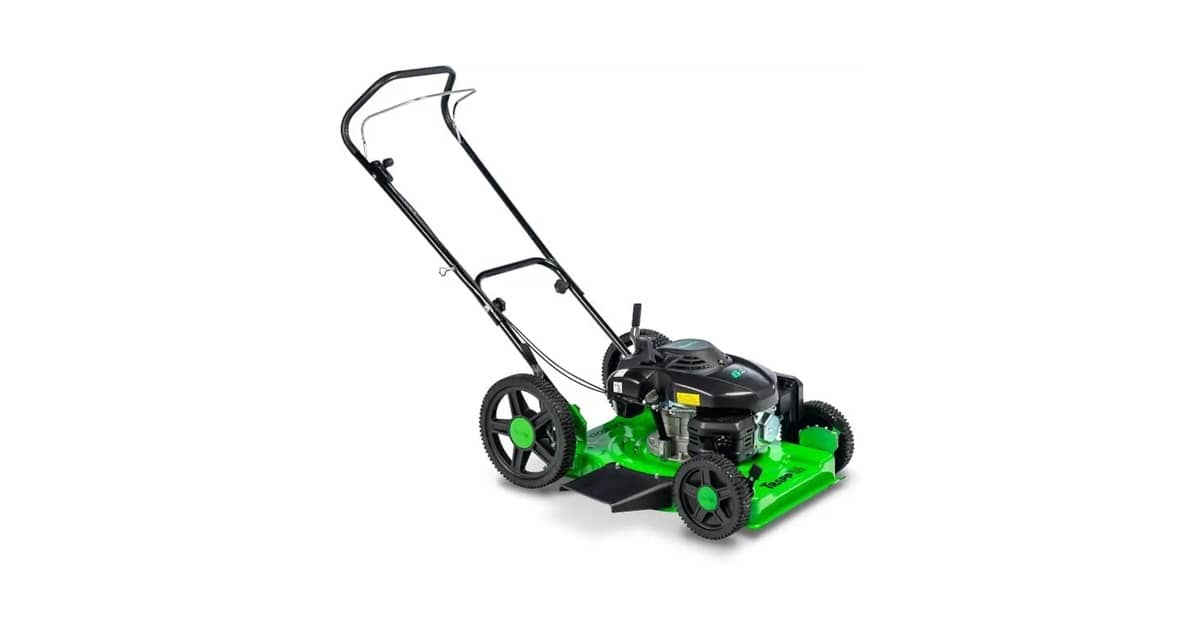 Qual o Melhor Cortador de Grama Elétrico ou Gasolina: Potência e Praticidade