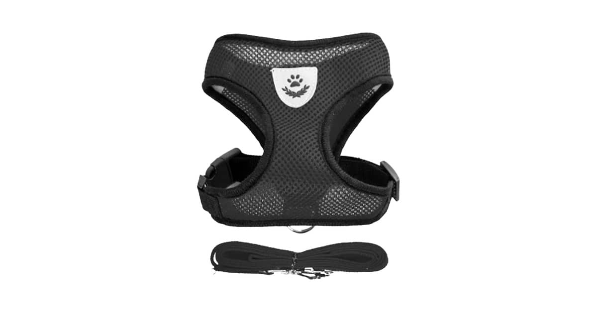 Qual o Melhor Peitoral Anti-Puxão: 10 Modelos Top