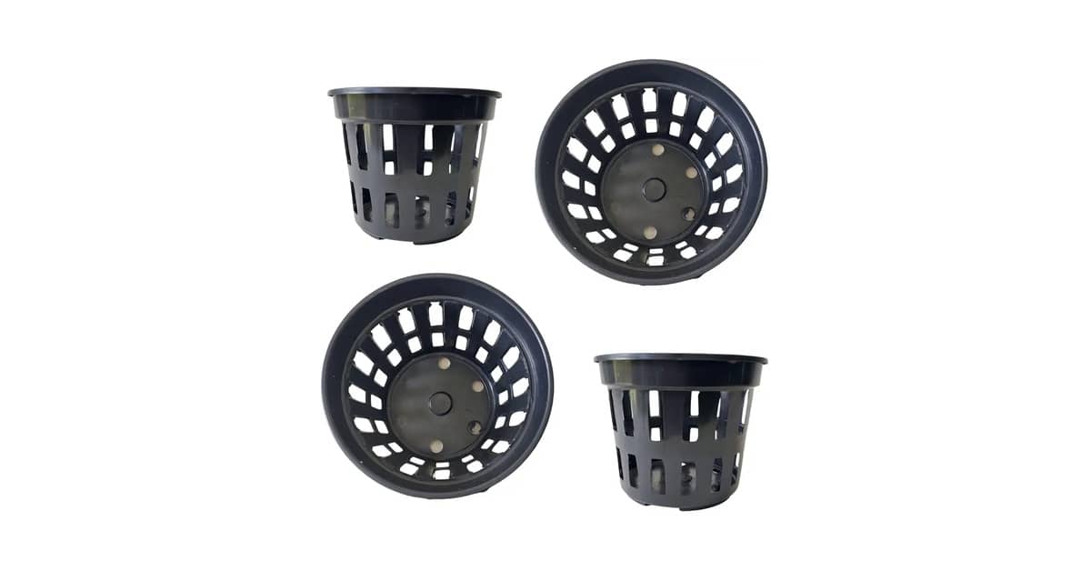 Qual o Melhor Vaso para se Plantar Zamioculca: Drenagem e Tamanho