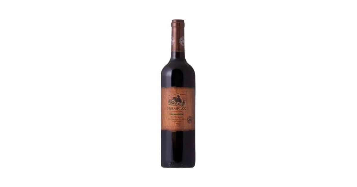Vinhos Tintos Carménère Chilenos Reviews: 10 Achados