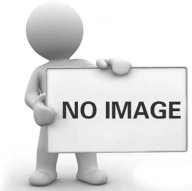 Arranhador de pelúcia para gatos, cama, arranhador versátil de 56x36cm, almofada oval para arranhar, ideal para brincar, afiar as garras e interagir.