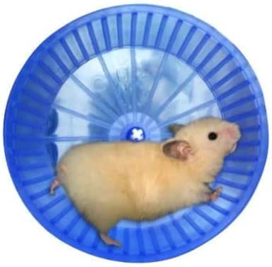 Mr Pet Roda Hamster de Plástico, Cores sortidas