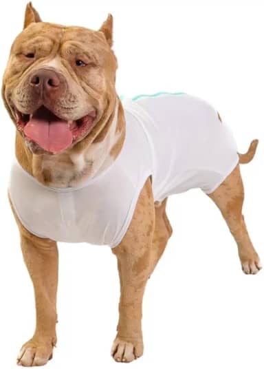 LUVY PET, Roupa Pós Cirúrgica para Cachorro Castração Branca Macho UV Tamanho:2