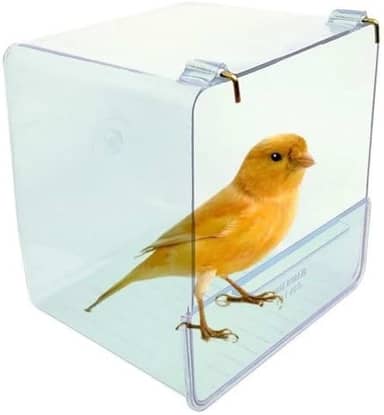 Banheira para pássaros externa 500ml Toco Tucano (Azul)