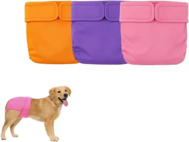 Kit 3 Fraldas Cachorro Fêmea Reutilizáveis Cor 2 - Materiais Duráveis ​​Solução lavável na máquina para incontinência de animais de estimação e viagens longas Petting Is Caring (G)