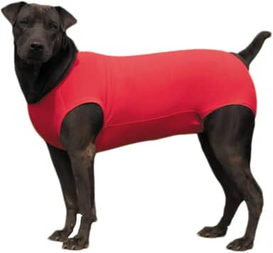 Roupa Pós Cirúrgica Pet Para Castração de Cachorro Macho e Fêmea - Vermelho Verde Rosa Roxo Azul (Vermelho, 00)