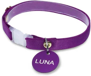Coleira personalizada com nome e telefone Gatos PETS (Roxo, Filhote (14 cm a 24 cm))