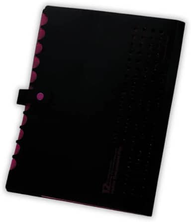 Pasta Sanfonada Catalogo A4 com 5 Divisórias Organizador de Documentos Neon Escritorio Escola Arquivo Papel Sulfite (Rosa)