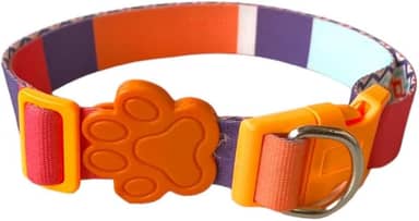 MY PET BRASIL Coleira Para Cachorros M Coleira Ajustável City Passeio E Viagem Confortável E Resistente