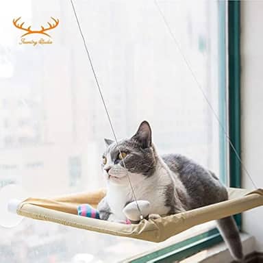 Caminha Sunny Seat Para Gatos De Janela com ventosas 1 espaço descanso com vista para rua