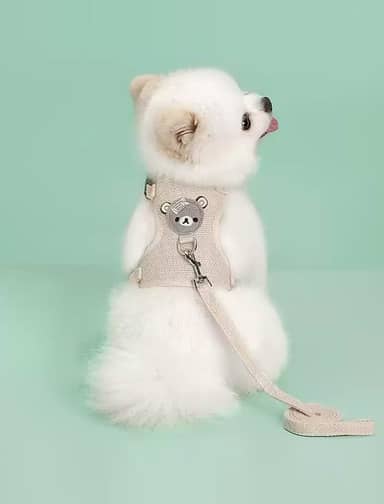 Peitoral e coleira para cães e gatos, colete macio com corda, peitoral ajustável para passear, apenas para cães pequenos e gatos, tamanho P, branco