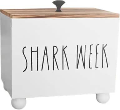 Suporte para absorvente interno e caixa de armazenamento para absorventes internos para Organizador de produtos femininos Organizador de