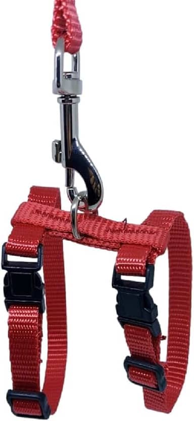 Peitoral com Guia Roedores Coelho PET para Passeios - Nylon