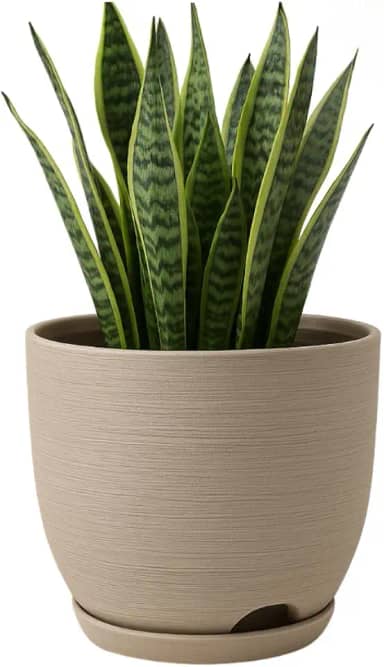 Vaso Polietileno Cor Bege Para Plantas Jardim Sala Luxo escovado bojo pequeno Com Prato