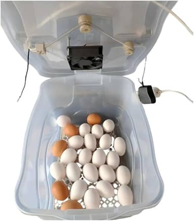Chocadeira Pet Para 30 Ovos De Galinha ou 90 De Codorna Com Termostato Resistência E Cooler