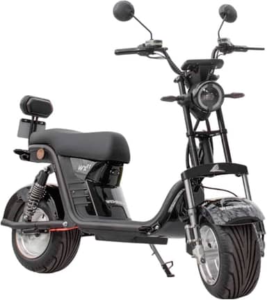 Moto Elétrica Wx-11 Wehawk 1000W 2 Lugares
