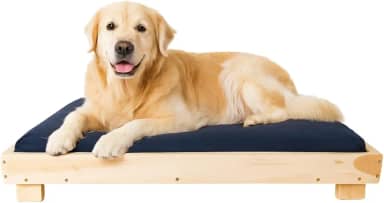 Cama Caminha para Pet Cachorro Gato Grande 90x70 com Colchão Macio e Durável, Em Madeira Resistente